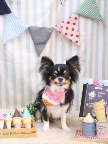 20250515天ちゃん